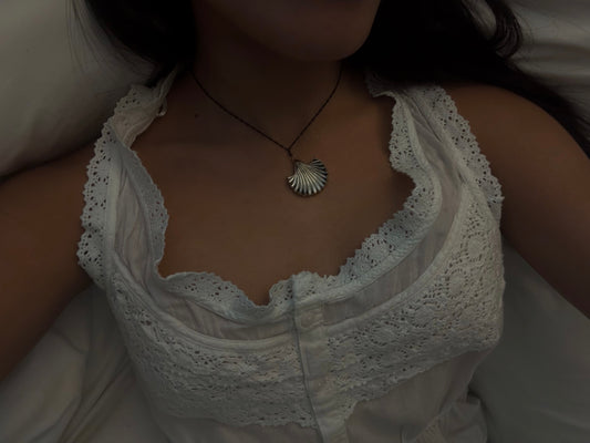 ABALONE SCALLOP SHELL