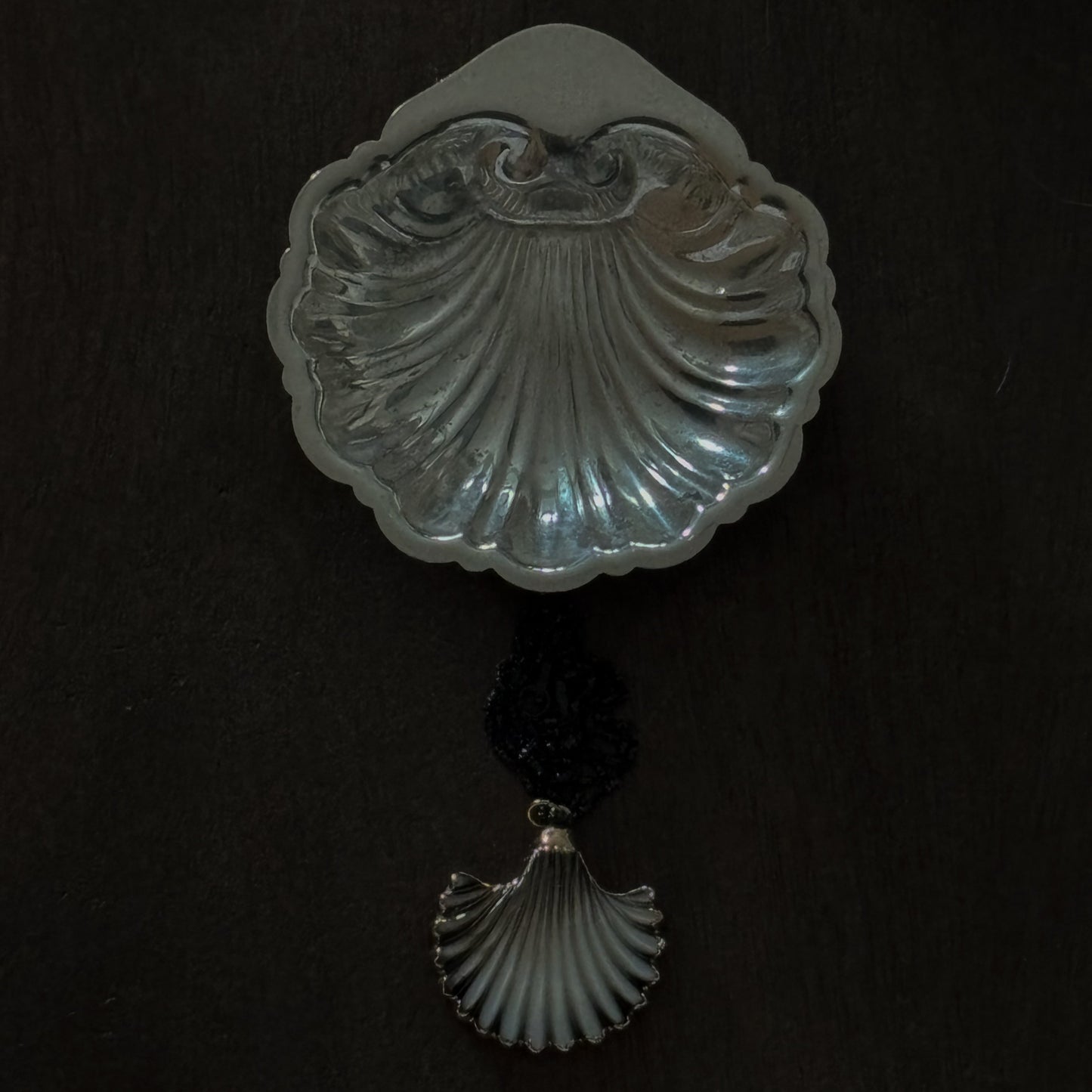 ABALONE SCALLOP SHELL