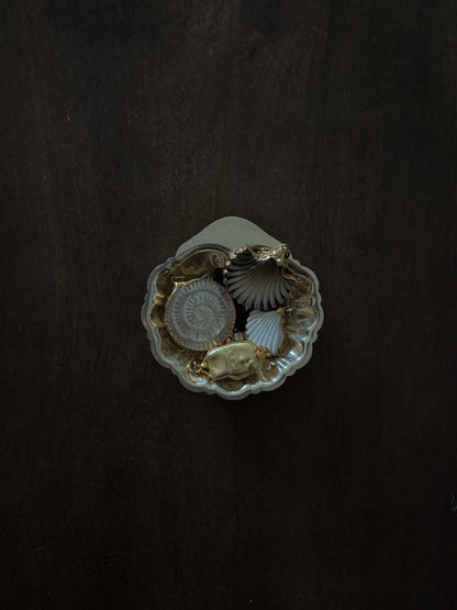 MOTHER OF PEARL SCALLOP SHELL