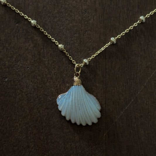 MOTHER OF PEARL SCALLOP SHELL