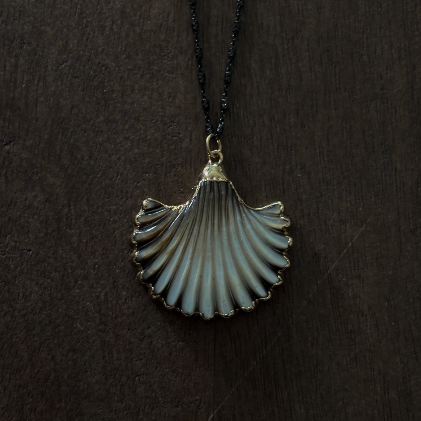 ABALONE SCALLOP SHELL