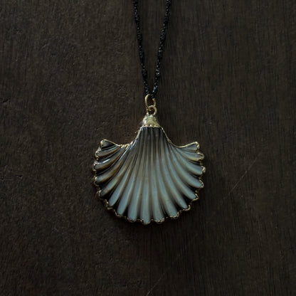 ABALONE SCALLOP SHELL