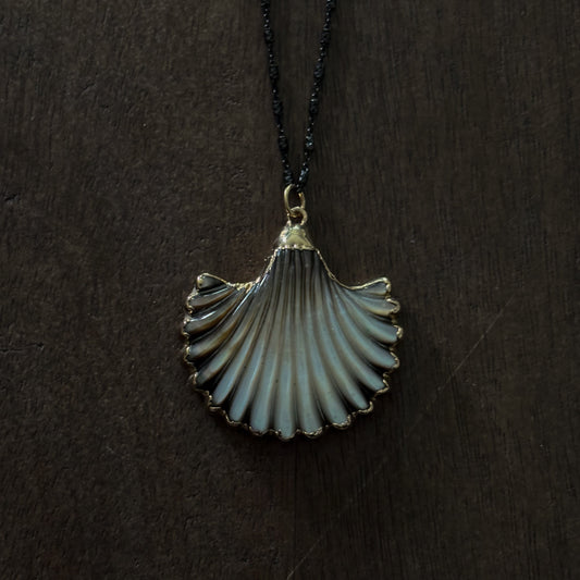 ABALONE SCALLOP SHELL
