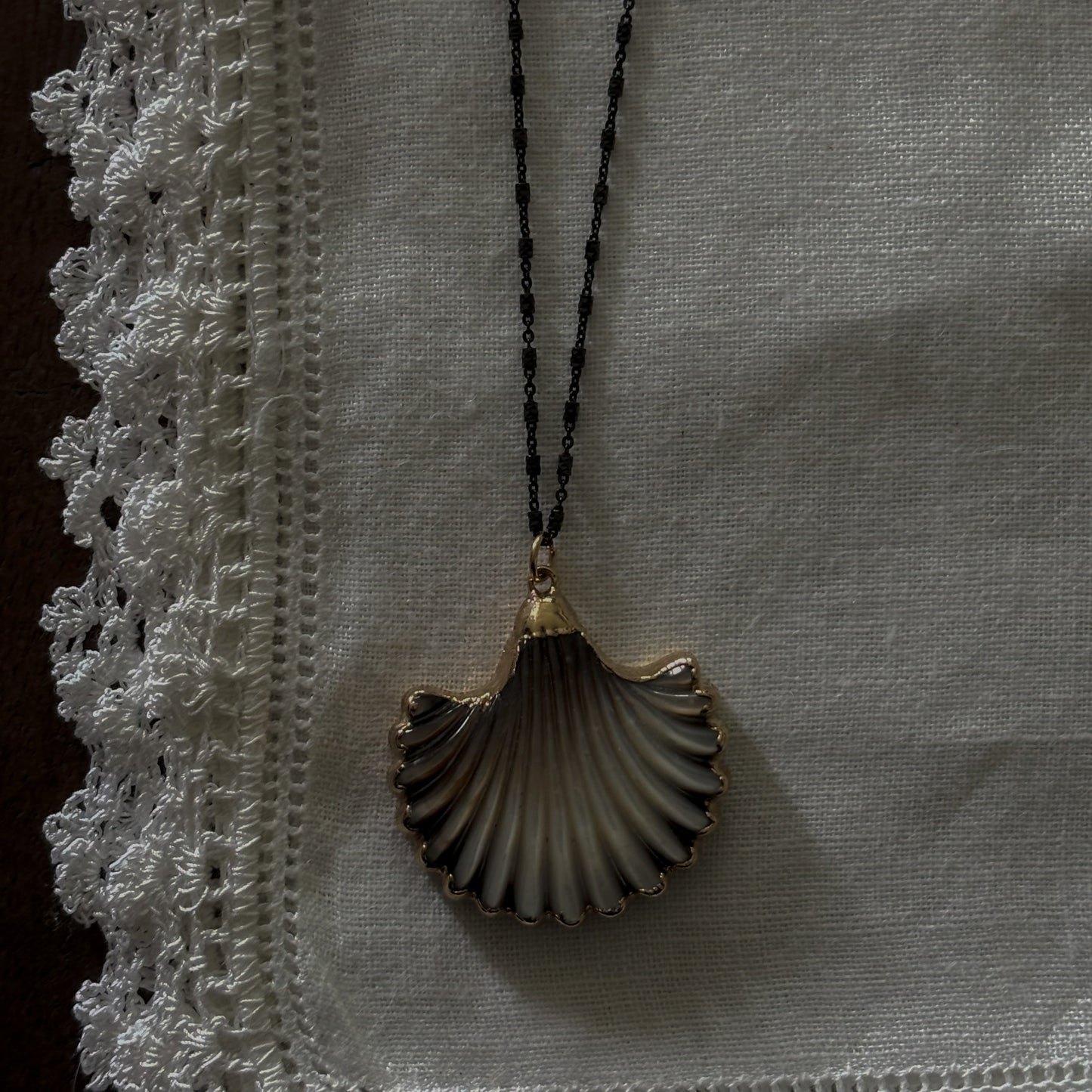 ABALONE SCALLOP SHELL