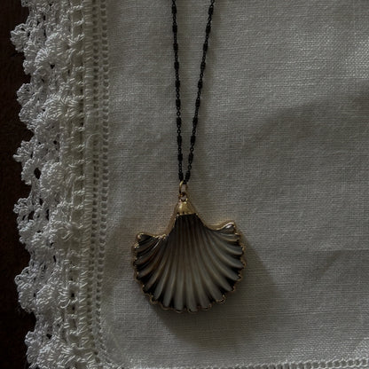 ABALONE SCALLOP SHELL